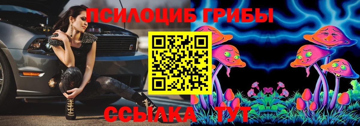Пугачёв  Псилоцибиновые грибы Psilocybe  Вход с VPN 